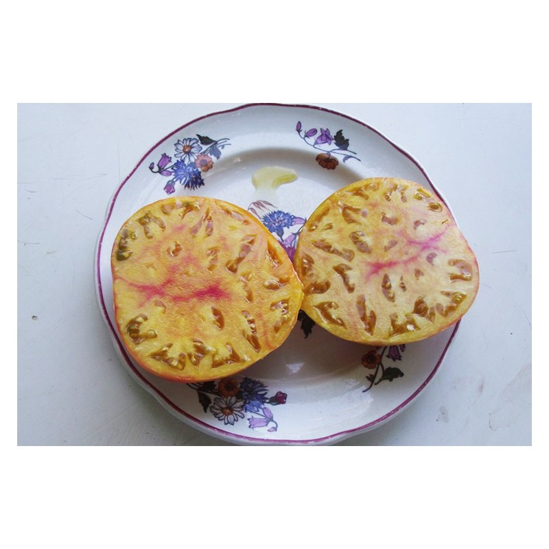 graines a semer de tomate Ananas