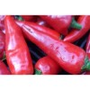 Piment Doux Gorria dit d' Espelette semences bio