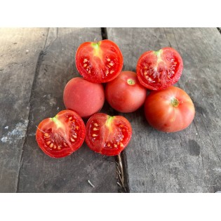 Tomate Pêche Rose